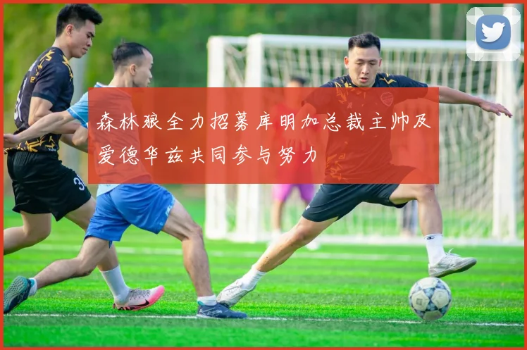 森林狼全力招募库明加总裁主帅及爱德华兹共同参与努力